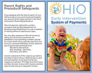 System of Payments Brochure